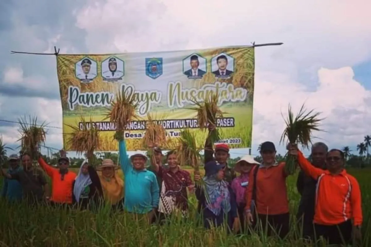 Pemkab Paser Berikan Bantuan Benih Padi di lahan 5.000 Hektar