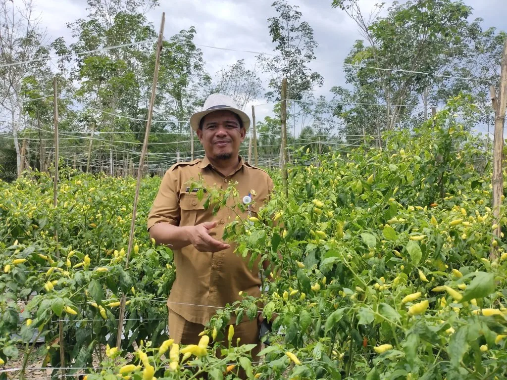 Tahun 2024, Kabupaten Paser Kembangkan Tanaman Hortikultura di lahan 11 Hektar