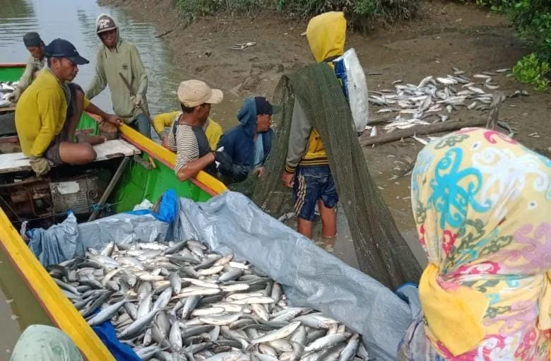 Pemkab Paser Menargetkan Tingkat Konsumsi Ikan Masyarakat Mencapai 65,65 kilogram