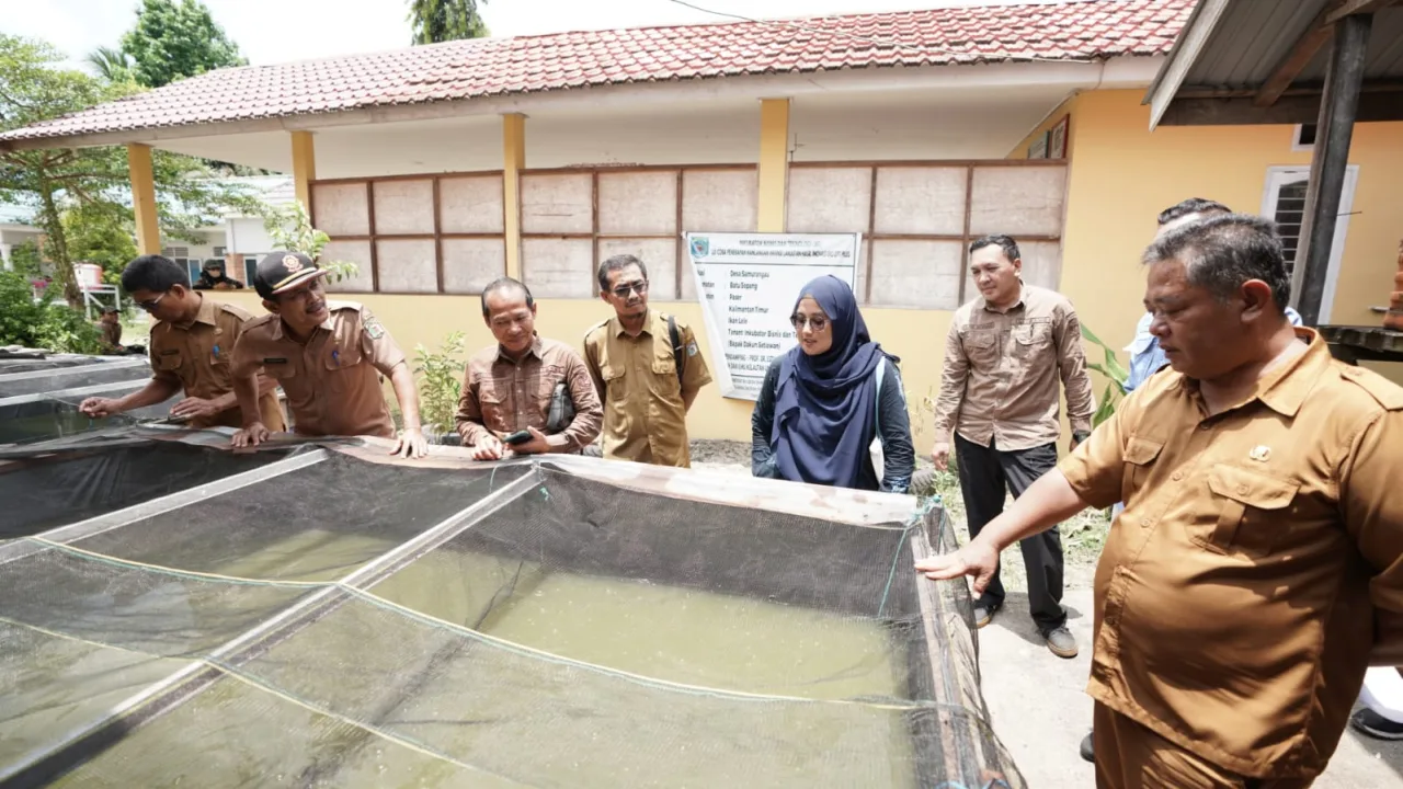 Bappedalitbang Paser Akan Uji Laboratorium Inovasi Suplemen Ikan Lele