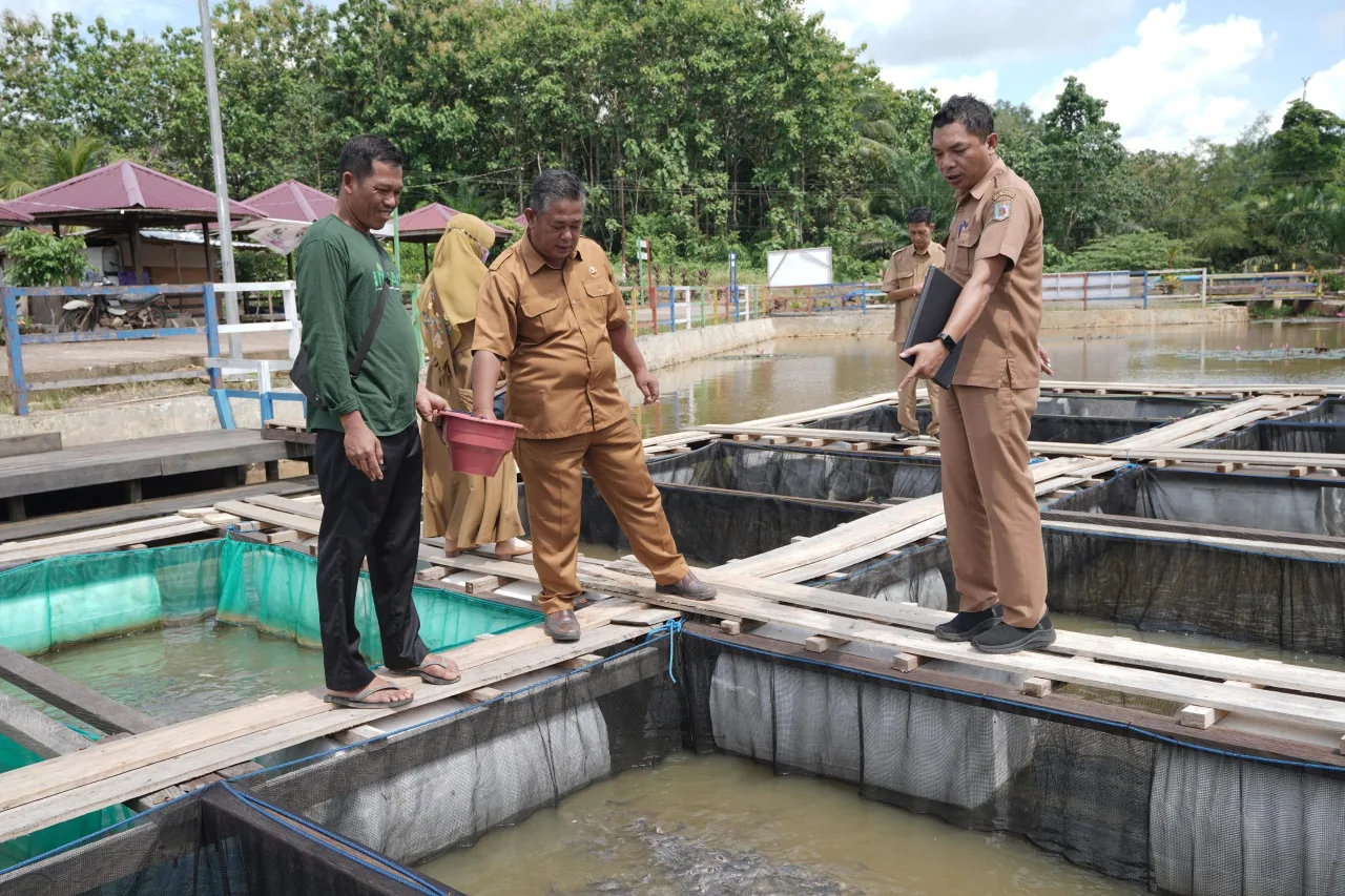 Dinas Perikanan Paser Beri Pelatihan Pengolahan Pakan Fermentasi kepada Bumdes Suliliran Baru