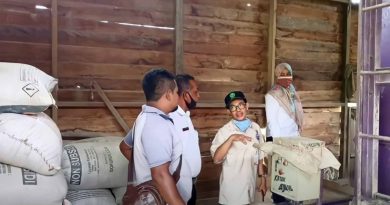 Produksi padi di Paser belum banyak diminati masyarakat Produksi padi di Paser belum banyak diminati masyarakat