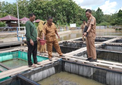 Dinas Perikanan Paser Beri Pelatihan Pengolahan Pakan Fermentasi kepada Bumdes Suliliran Baru