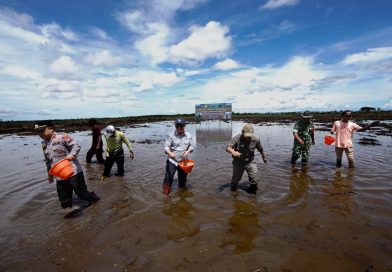 Paser berkontribusi 201 hektar pada Gerakan Nasional tanam serentak di lahan cetak sawah baru