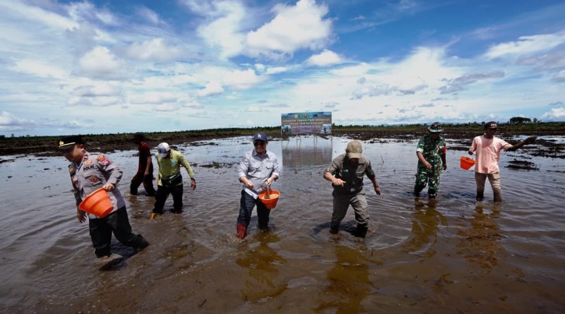 Paser berkontribusi 201 hektar pada Gerakan Nasional tanam serentak di lahan cetak sawah baru